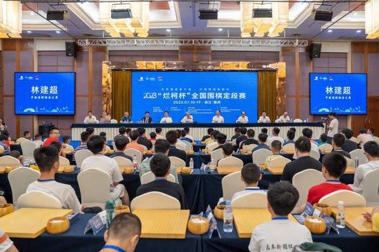 tf家族哔哩哔哩