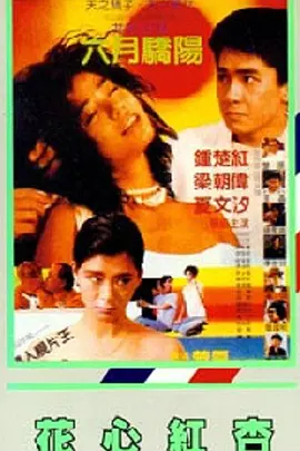 午夜黄色网