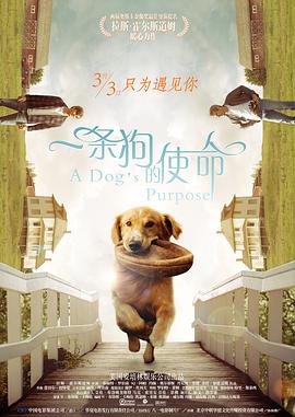 每日大赛吃瓜黑料
