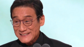 丝袜女仆