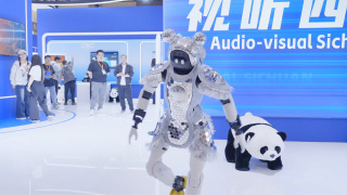 亚洲精品国产三级在线观看